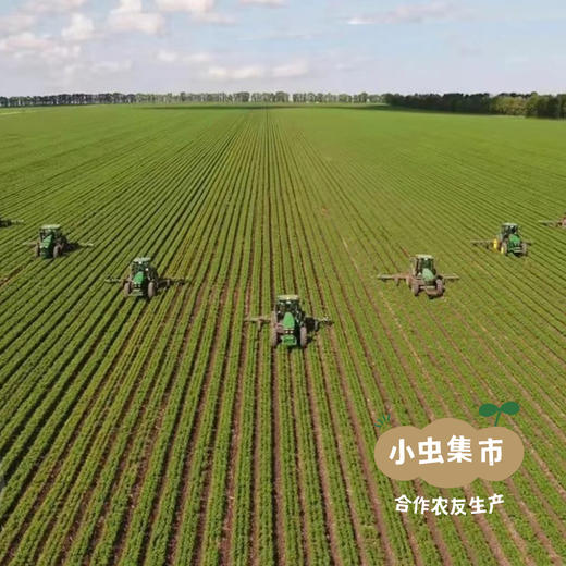 有机压榨大豆油 5L | 合作农友生产，来自辽宁大连，生产者：生态小镇 *【公平贸易农人定价】 商品图5