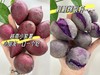 【预售·当季生鲜】9号发货，越南进口珍珠小紫薯 原生态种植，减脂美食、宝宝健康辅食，营养丰富，口感粉糯香甜少丝 商品缩略图6