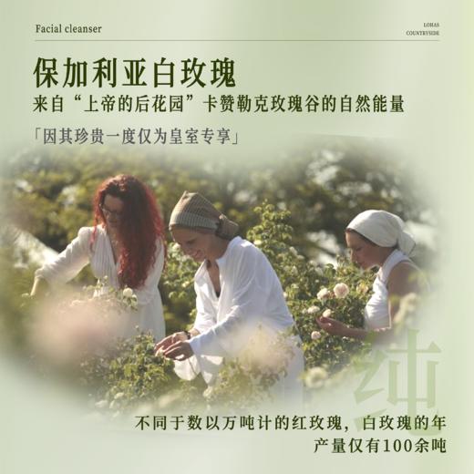 【乐活田园】洁面慕斯花香/净香  植物源原料 温和清洁 保护皮肤屏障 商品图2