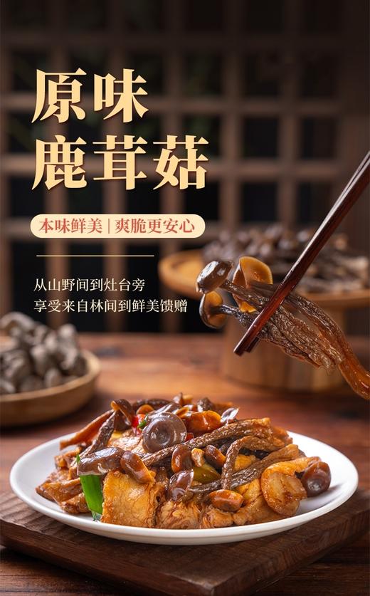 【益植鲜鹿茸菇】来啦！！ 鲜香美味，富含多种营养成分，配料只有水、盐、维c，自然风味！！ 真的很爱鹿茸菇👍 商品图5