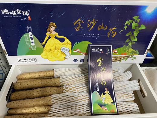 【新山药】金沙山药 香甜软糯     入口即化 老少皆宜 满88包邮 商品图0
