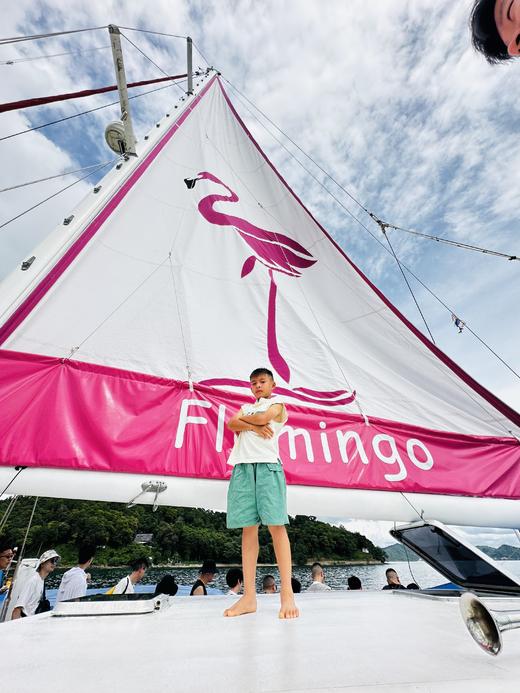 普吉岛火烈鸟 商品图3