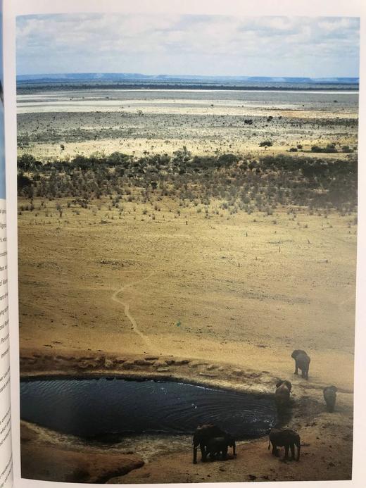 非洲动物王国图集 数百幅彩色插图 平装大16开 商品图9