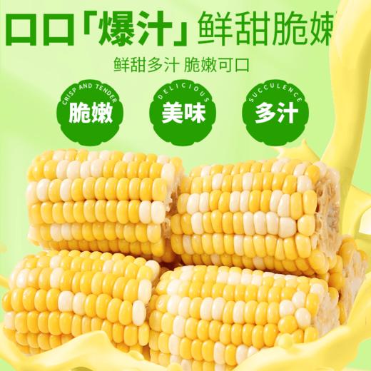 耘湄优品 澜沧水果玉米 2kg彩盒装 商品图2