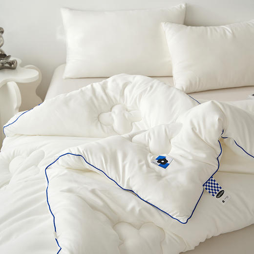 自然醒云绒棉潮流舒睡被超柔软糯云感春春秋被子被芯加厚保暖单人学生四季通用TD 商品图3