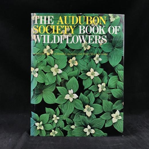 奥杜邦协会野花之书 数百幅彩色插图 精装大16开 商品图0