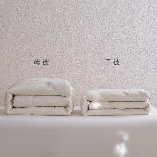 自然醒莫奈全棉提花80大豆子母被芯高端双A类抗菌纯棉华夫格80%大豆蛋白春秋被四季通用加厚冬被FM 商品图2