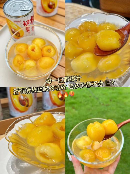 樱喆雪枇杷罐头一桶 商品图1