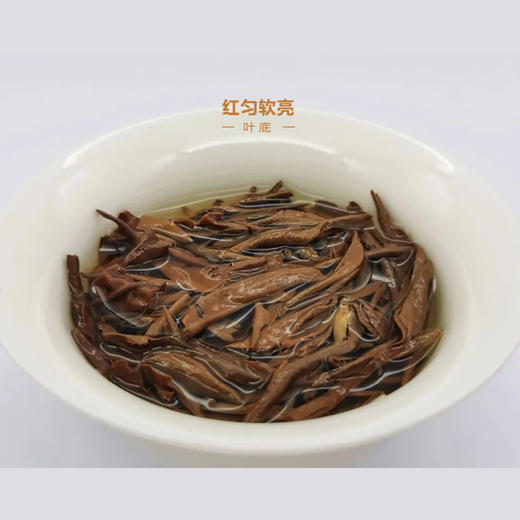 中茶CTMY12402茗悦金毛毫红茶礼盒120g 商品图2