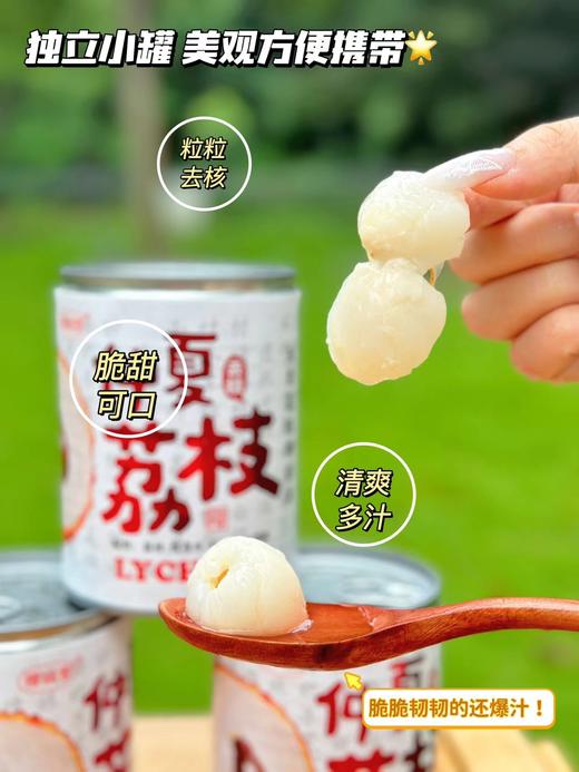 樱喆雪 荔枝罐头一瓶 商品图1