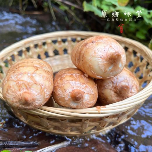 小草坝乌天麻（基地直发-顺丰包邮） | 3斤—5斤，来自云南昭通，生产者：杨德强【合作生产，公平贸易】 商品图6