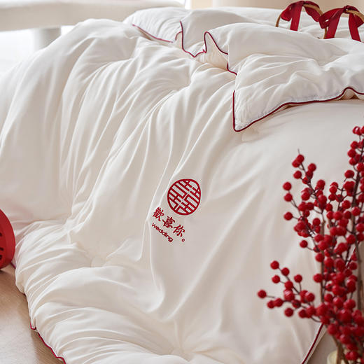 自然醒云绒棉芯生欢喜被结婚庆陪嫁喜被春秋被子冬大豆纤维被芯喜字加厚冬被TD 商品图6