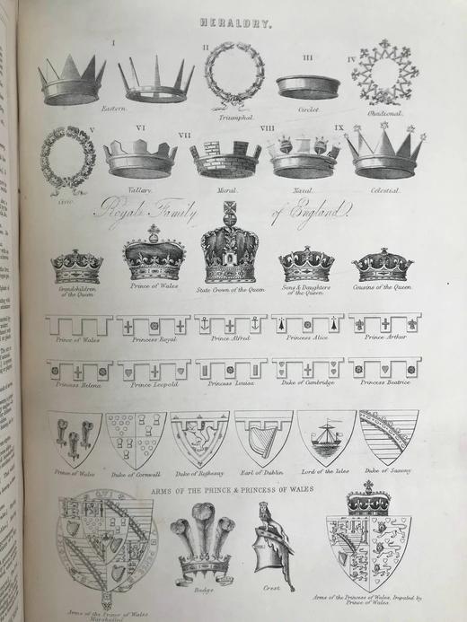 约19世纪后期 韦氏改进英语大辞典（全2卷） 数十页精美版画插图 真皮精装16开 商品图11