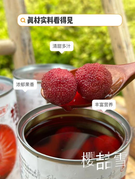 樱喆雪槐夏杨梅 商品图3