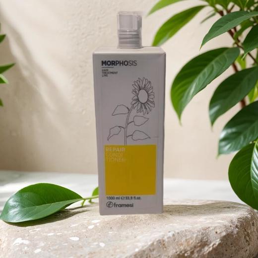 朗媚丝丽发柔润护发素 1L/瓶 商品图0