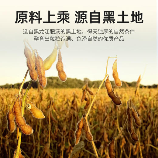 袋鼠小布精选黑龙江黄豆660g罐装 商品图1