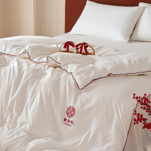 自然醒云绒棉芯生欢喜被结婚庆陪嫁喜被春秋被子冬大豆纤维被芯喜字加厚冬被TD 商品图5