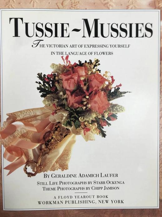 维多利亚小花束艺术图集 数百幅彩色插图 精装18开 商品图3