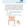 全髋关节置换术后关节脱位原因与处理 髋关节的骨性构成及关节附属结构 全髋关节假体的分类 主编陈廖斌 科学出版社9787030791269 商品缩略图4