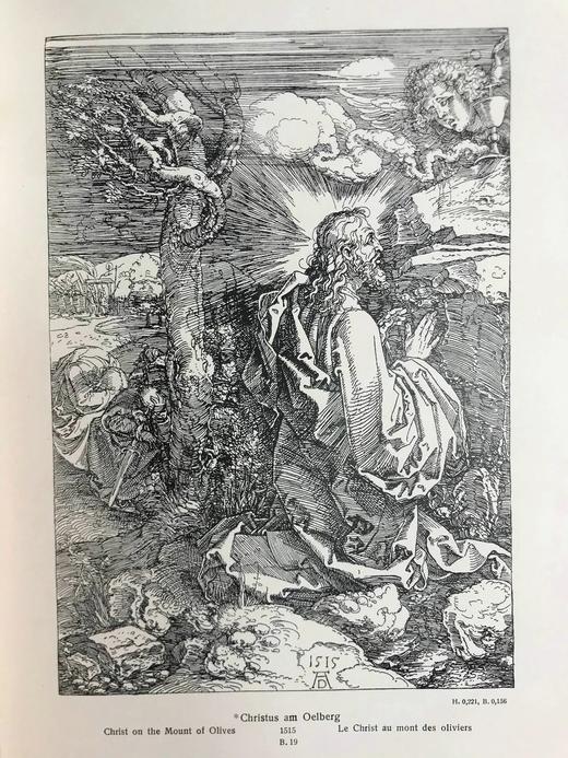 【德语】含藏书票！约19世纪后期 丢勒铜版与木版画集 473幅插图 漆布精装16开 商品图7