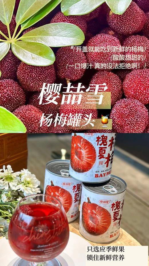 樱喆雪槐夏杨梅 商品图2