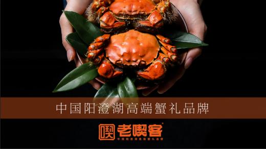 老喫客阳澄湖大闸蟹 蟹卡 2988型 商品图0