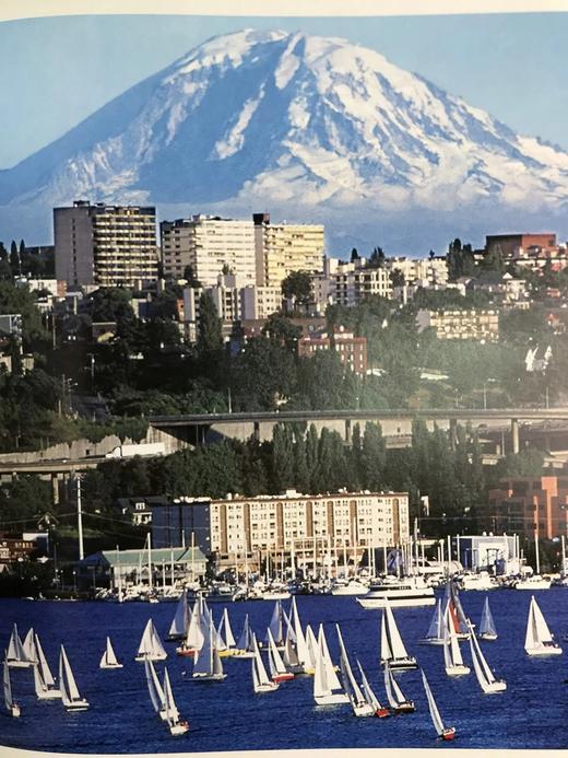 美国视觉史 数百幅插图 精装大16开 商品图9