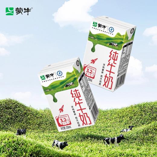 蒙牛纯牛奶利乐包250ml×16盒 商品图3