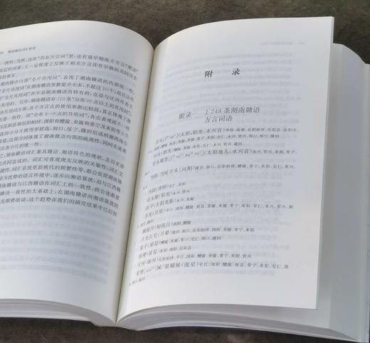 《湖南赣语词汇研究》，32开平装，代少若著，中西书局2020年一版一印，598页，定价85元，售价：38元，品相95成。 商品图13