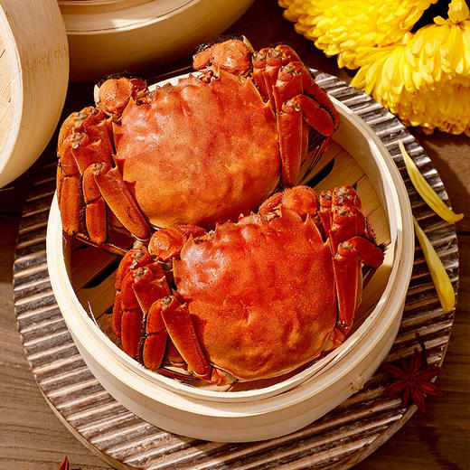 【签收超6小时死蟹不包赔，售后请在线反馈】24年澄沁大闸蟹1288型【ZXZQ4.0】 商品图5