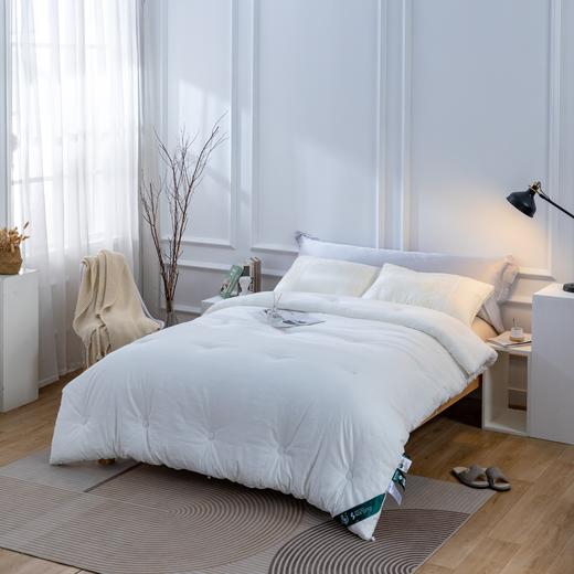 【远梦】生物提花热能绒被 商品图0