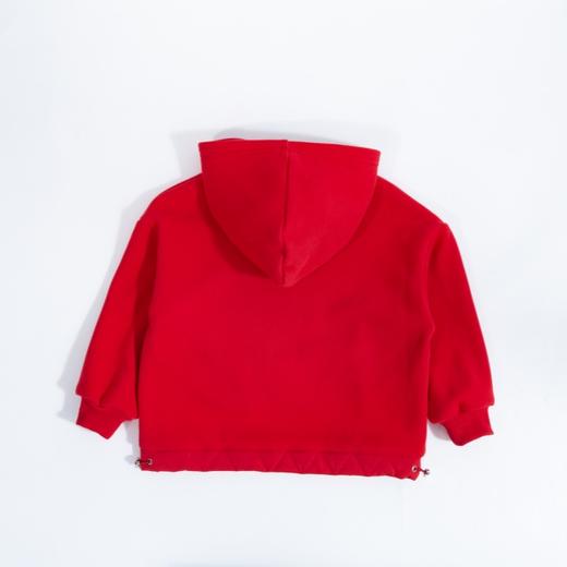 【商场同款】迪士尼男童秋季连帽套头卫衣234DS1171 商品图3