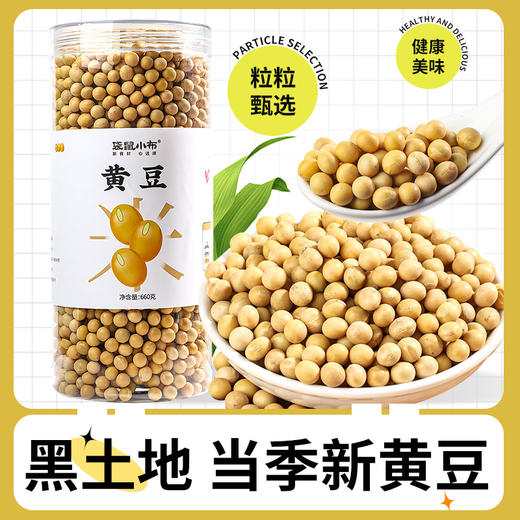 袋鼠小布精选黑龙江黄豆660g罐装 商品图0