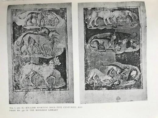 1904年5-8月 鉴赏家杂志 数百幅插图 漆布精装16开 商品图13