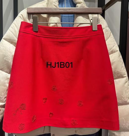 胭脂色半裙HJ1B01 商品图0