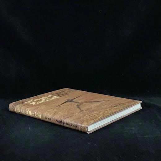 人类时代 数百幅插图 精装16开 商品图1