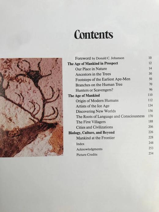 人类时代 数百幅插图 精装16开 商品图5