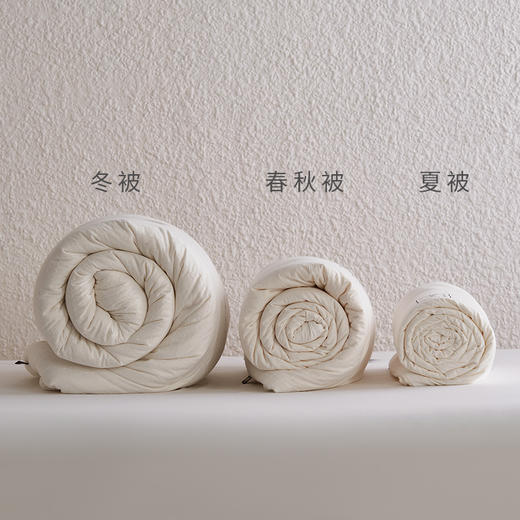 自然醒莫奈全棉提花80大豆子母被芯高端双A类抗菌纯棉华夫格80%大豆蛋白春秋被四季通用加厚冬被FM 商品图7
