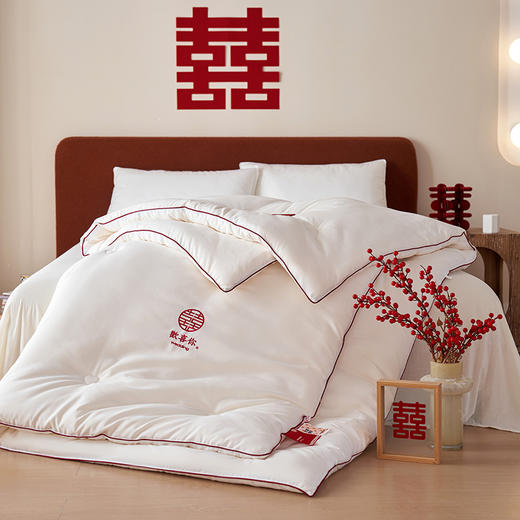 自然醒云绒棉芯生欢喜被结婚庆陪嫁喜被春秋被子冬大豆纤维被芯喜字加厚冬被TD 商品图2