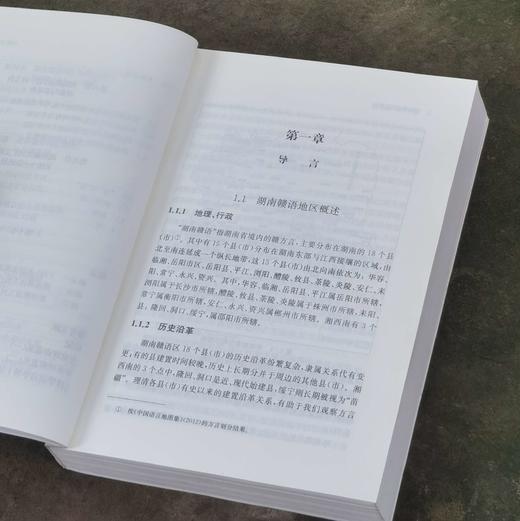 《湖南赣语词汇研究》，32开平装，代少若著，中西书局2020年一版一印，598页，定价85元，售价：38元，品相95成。 商品图6