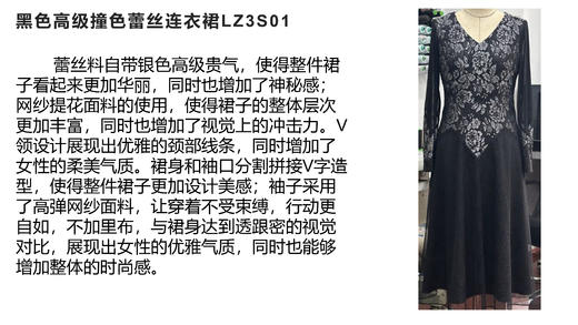 漆黑色连衣裙LZ3S01 商品图2