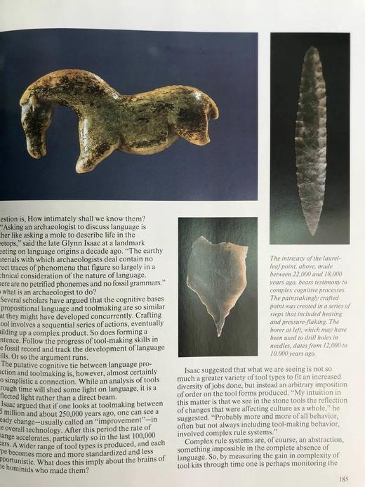 人类时代 数百幅插图 精装16开 商品图6