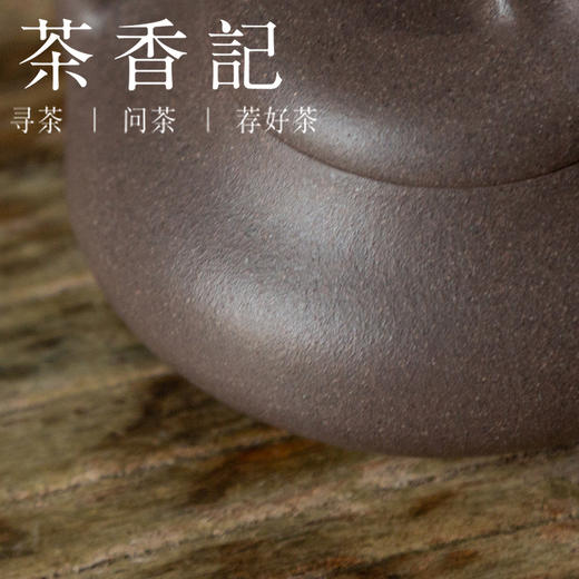 茶香记 黄龙山清灰泥  汉棠小石瓢 紫砂壶 清雅古朴 端庄沉稳 茶壶 商品图2