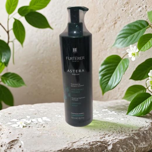 馥绿德雅清爽舒缓洗发露 600ml/瓶 商品图0