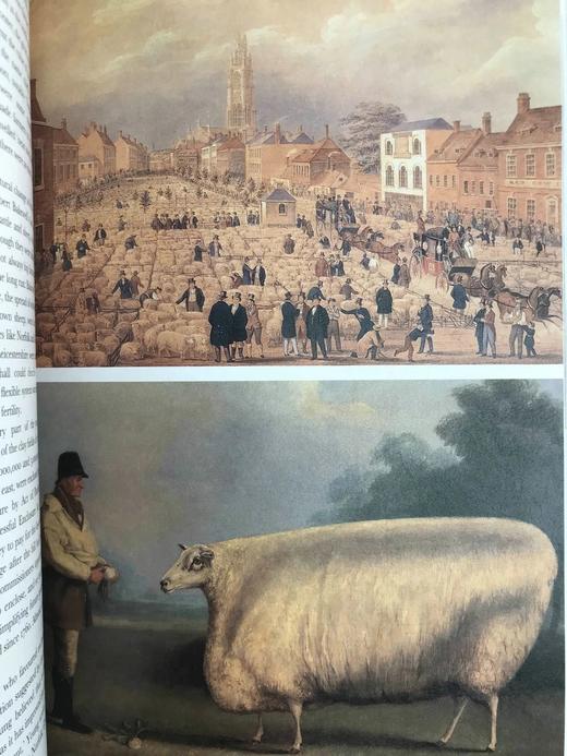 阿萨·布里格斯《英国社会史》 约百余幅插图 精装16开 商品图7