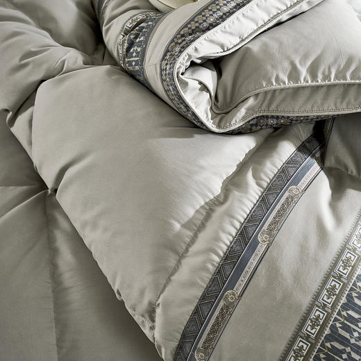 【爆】【6F】富安娜A类蓄暖鹅绒四季被伊尔顿，吊牌价9800~10800，三八爆品活动价3999，赠送1500元线下厅内无门槛现金抵用, 商品图5