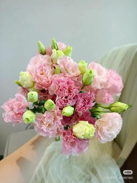 阳光冰淇淋桔梗一捆