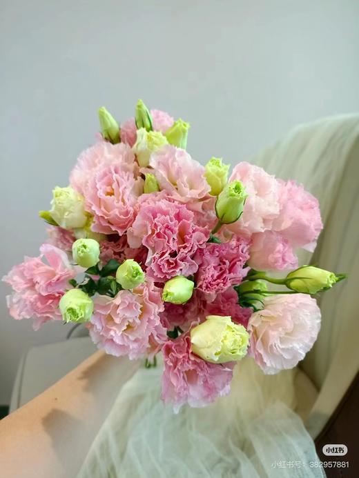 阳光冰淇淋桔梗一捆 商品图0