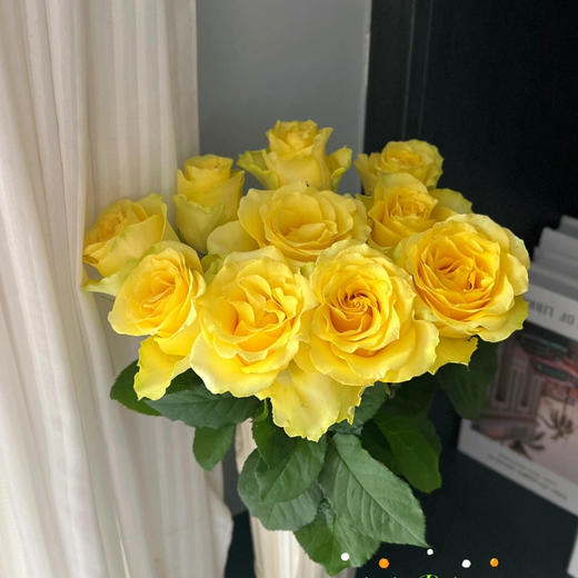 【AB级浪漫沙滩玫瑰.第二件减10元】10支/份 长约60-65cm 商品图0