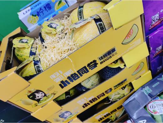 小艳同学网纹蜜瓜一箱 商品图0